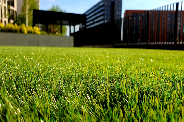artificial grass sydney